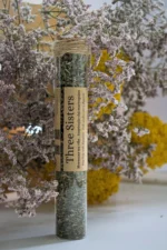 Insitu glasstube three sisters digestive mint green tea