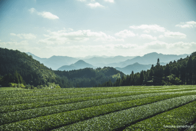 Photo FY Paysage1 credit