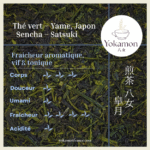 cropped 20250816 Sencha satsuki25 1.png