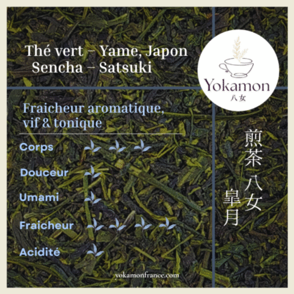 cropped 20250816 Sencha satsuki25 1.png