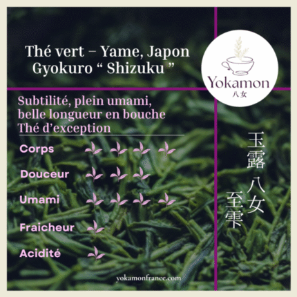 cropped 202508 Gyokuro Shizuku24.png