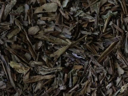 cropped Capture decran le 2025 11 03 a 11.24.21.png