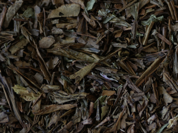 cropped Capture decran le 2025 11 03 a 11.24.21.png