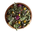 cropped winterchillsansfond.webp