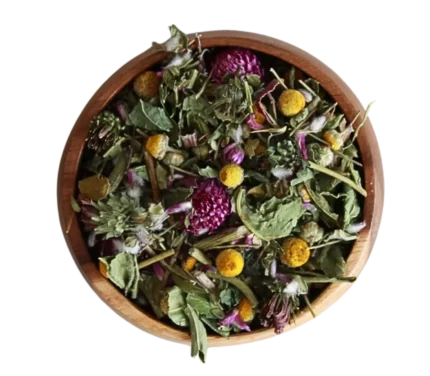 cropped winterchillsansfond.webp