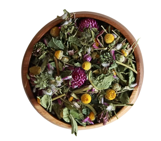 cropped winterchillsansfond.webp