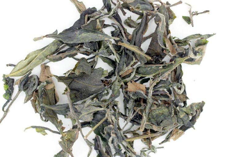 la tramontrane thé français du Roussillon