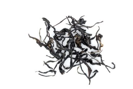 thé noir du Roussillon, grand cru de thé bio