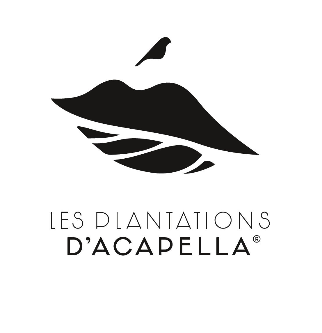 logo plantations d'acapella