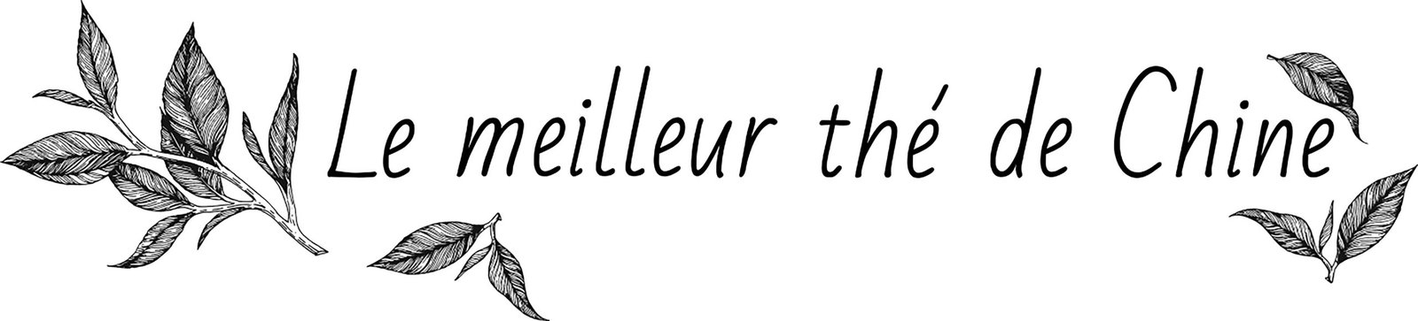 logo vectoB