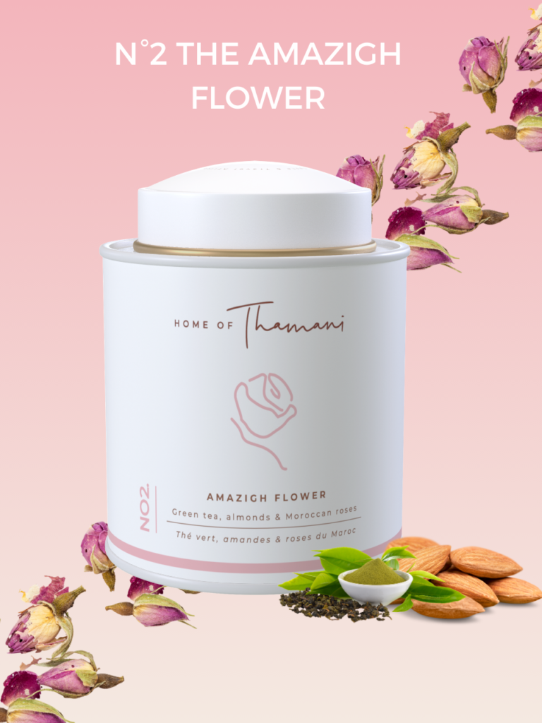 PLV 21 × 29.7 cm (6)