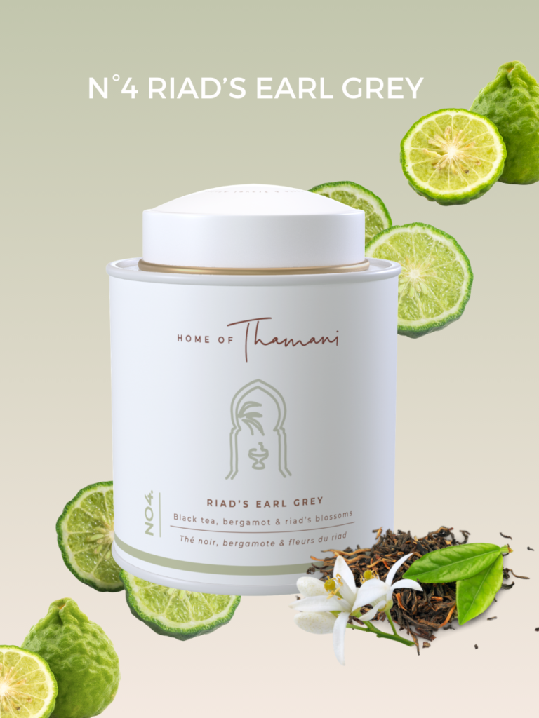 PLV 21 × 29.7 cm (8)