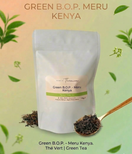 cropped Gemini Generated Image 99vfpc99vfpc99vf.png