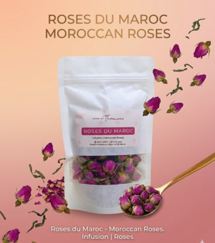 cropped Gemini Generated Image fs6u3kfs6u3kfs6u.png